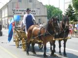 Konji i kola dolaze iz Sirove Katalene pokazati to se u Podravini radi cijele godine