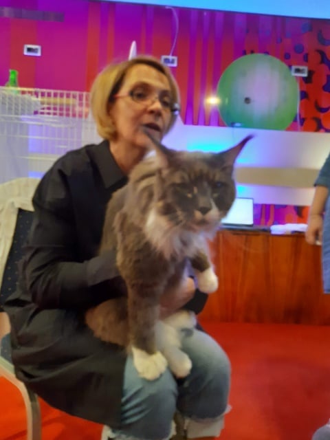 Pogled na ljepotu prirode i uspomene