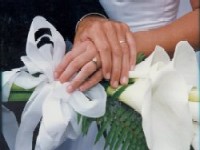 Aledory - naj�e��e sviraju na svadbama