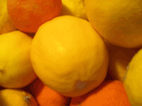 limunova i narana�a