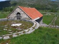 ku�a pra�eda moga