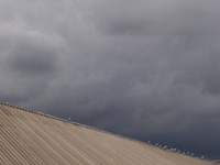 galebovi na robnoj ku�i u Metkovi�u