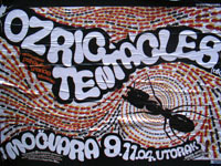 Ozric Tentacles, psihodeli�ni rock