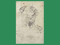 Michelangelo Buonarroti: Studija mu�kog torza