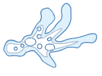 ka�e moj mozak da ovo li�i na izobli�enu mene