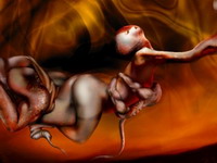 Nadrealni let nerealne �elje (� Nuvem).