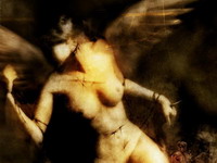 Slomiti tako da krila budu zaprljana.. (� Illx).