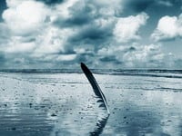 Tkanje snova najmek�i ja jastuk.. (� foureyes).