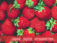 Jagoda, jagode, strawberry, strawberries,... A, deka sa cokoladete da prasam? ;)
