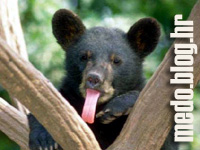 kaj stavlja� taj smrdljivi mi� na moju sliku-bje�i s tim!!!