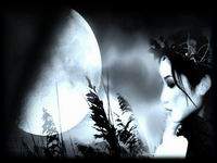 Ja �ivim u nekim drugim svjetovima..Potra�ite me..Ja �u vas potra�iti..