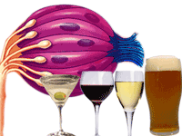 Zdravica okusnog pupoljka