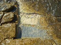 sto je bilo, bilo je...
ovom ljetu je kraj