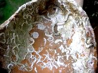 sli�ica nema veze, ali mi je bilo nekako pusto, pa sam stavila prvo �to mi je do�lo pod ruku...