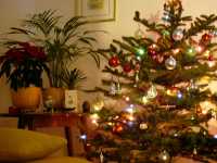 moj najdra�i kutak