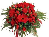 Svim blogovcima koji posje�uju moju stranicu