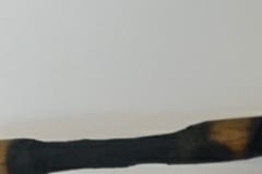 Traume jedne kuhače