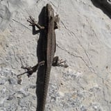 Heh, opet kiša Heh, opet kiša