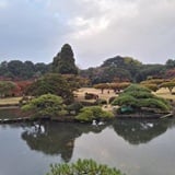 Shinjuku botanička bašta Shinjuku botanička bašta