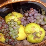 Rodilo, nije da nije, ali prošle godine Rodilo, nije da nije, ali prošle godine