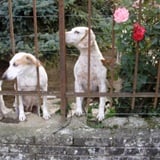 Poučak o rasizmu Poučak o rasizmu