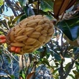 Iz života novi život Iz života novi život