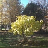 Studeni na Planini Studeni na Planini