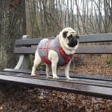 Ona je moja, samo moja Ona je moja, samo moja