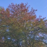 Radionica vjetra Radionica vjetra