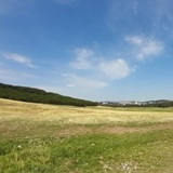 Zlatna šetnja Zlatna šetnja