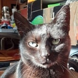 Ponovo u Zagrebu... Ponovo u Zagrebu...