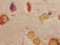 ovo uz post je halva s pistacijama, a da sam stavio fotku prave halve, sve bi bilo bijelo i onda bi se neki pitali: a �to je to?... kako vas dosta ne jede halvu, a lako ogladnite na blogu, poslu�ite se tortom od jagoda - svima koji danas slave, �elim Sret