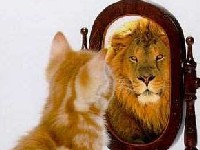 previ�e sam ma�aka po blogovima gledao u posljednjih mjesec dana:-)