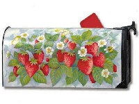 da vidimo tko zna �to je ovo na slici?:-)