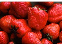 I jo� puuuno onih koji imaju link na jagode, a nisu ni�ta napisali kao npr. Michi, mandarinica, egip�anka, stix, lavica, �kropec, didi... uf ima toga jo� �itav niz, sorry... ako �elite da i va� blog strpam ovdje recite:-)