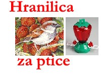 svima koji �ele vidjeti razne izvedbe hranilica za ptice, preporu�ujem ove stranice... i �to ka�ete, ima ih na stotine razli�itih vrsta:-)
