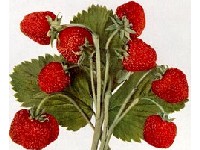 nadam se kako vam se svidjela igra; a ako vam to i nije ne�to, mo�ete nacrtati pu�a koji vam sigurno ne�e pobje�i:-)