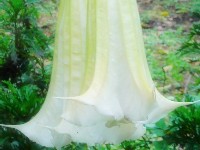 i jel vam se svidjelo gostovanje stranog bloggera:-)