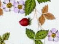 i tko �e tu na kraju koga zagristi 5:-)