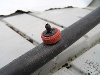 nagradno pitanje iliti kako do�i do 1 kg jagoda