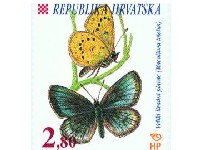 ajde ti sad znaj jesu li to dva leptira ili dvije leptirice ili mo�da leptir i leptirica, ma biti �e ovo zadnje