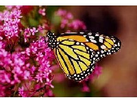 pitanje iliti upit o tome gdje sam i kuda idemo:-)