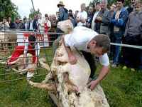 opa...ajmo klijenti...