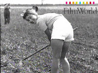 Ajmo u polje,zajebi vojsku