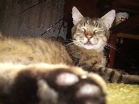 ma�ak u stavu mirno...