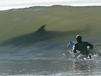 Bond... James Bond...