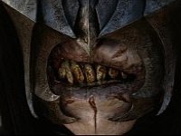 glasnogovornik Koalcije