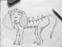 a liger