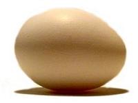 Konzumno jaje