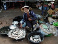 prodavacica ribe na trznici